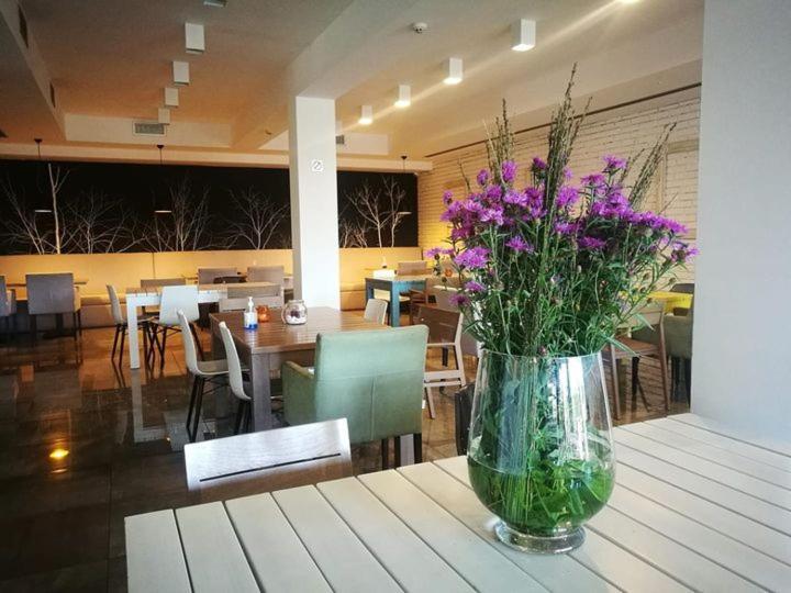 Hotel Heba Divčibare Esterno foto
